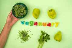 veganuary素食主义者生活方式月1月veganuary日历每天饮食规划