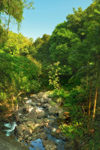 小瀑布<strong>河流</strong>丛林树<strong>河流</strong>小瀑布热带雨林夏威夷美国