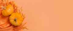 秋天横幅南瓜下降叶子橙色围巾秋天单色平躺作文复制空间