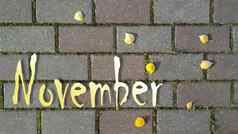 登记11月背景砖路发芽草黄色的秋天叶子前视图平躺