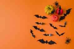快乐万圣节假期万圣节装饰蝙蝠蜘蛛南瓜橙色背景平躺前视图
