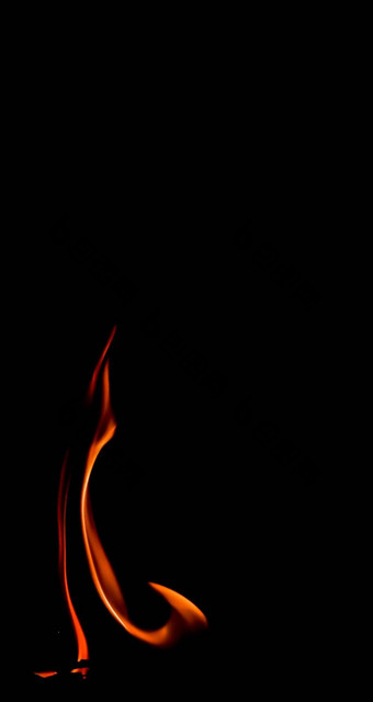 火火焰孤立的黑色的背景空间复制