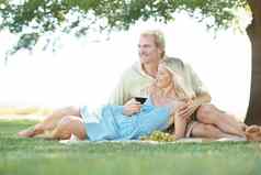 完美的一天野餐微笑丈夫妻子享受悠闲的野餐公园
