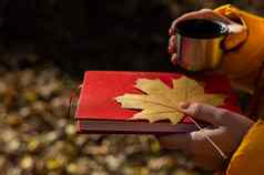 女人持有热水瓶热茶红色的书黄色的下降枫木叶秋天