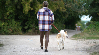 回来视图女人秋田<strong>犬犬</strong>儒狗晚上走国家路女主人亲爱的狗<strong>皮</strong>带享受走