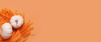秋天横幅白色南瓜橙色围巾前视图复制空间感恩节一天概念