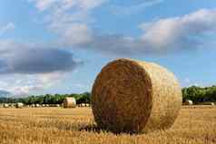 有束稻草场英语农村景观小麦黄色的金收获夏天农村自然景观粮食作物收获
