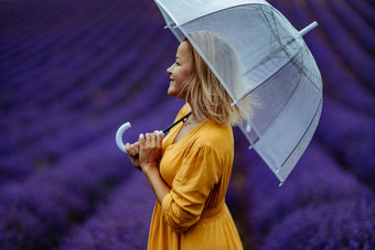 中年女人薰衣草场走伞多雨的一天享受芳香疗法芳香疗法概念薰衣草石油照片会话薰衣草