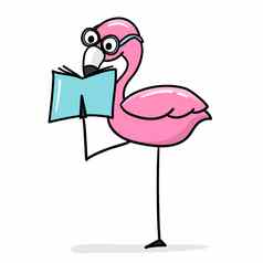 粉红色的火烈鸟动物园字符穿眼镜阅读书卡通向量