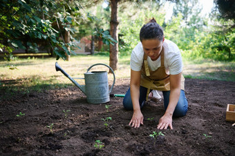 女人农民农学家篡改地球植物种植发芽树苗有机花园