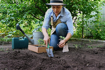 肖像生态农场女工人花园铲挖掘地面使洞种植幼苗