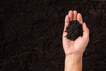 女人手持有堆肥<strong>肥沃</strong>的黑色的土壤背景