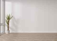 空房间白色墙木条镶花之地板地板上室内植物模拟室内免费的复制空间家具图片对象呈现