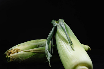 玉米玉米穗轴黑色的背景概念新鲜收获