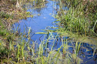 小蓝色的河流包围绿色草