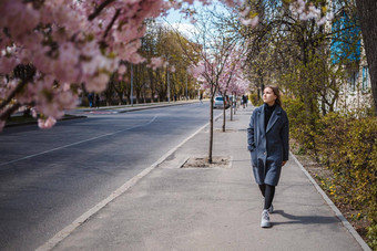 <strong>樱花</strong>分支机构花树城市街道快乐女人女孩灰色的调色板走小巷盛开的<strong>樱花</strong>华丽的花俏的女孩在户外<strong>樱花</strong>树盛开的