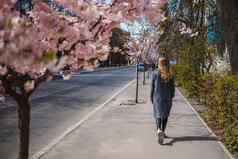 樱花分支机构花树城市街道快乐女人女孩灰色的调色板走小巷盛开的樱花华丽的花俏的女孩在户外樱花树盛开的