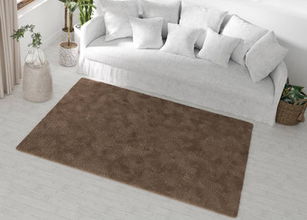 模拟地毯室内极简主义当代风格前视图空间地毯地毯设计现代模板呈现