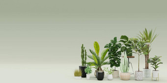 横幅首页植物复制空间广告文本标志植物商店绿色室内细节盆栽植物出售模板免费的空空间呈现