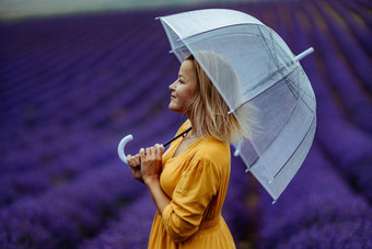 中年女人薰衣草场走伞多雨的一天享受芳香疗法芳香疗法概念薰衣草石油照片会话薰衣草