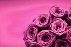 奢侈品花束紫色的玫瑰花布鲁姆花假期背景