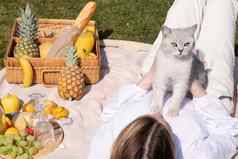 年轻的女人白色衬衫休息野餐宠物小猫