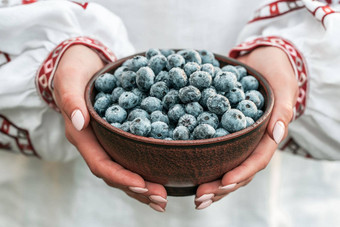 乌克兰女人刺绣维希万卡衬衫持有蓝莓花园背景丰富的黑莓收获新鲜的成熟的有机浆果伟大的越桔植物