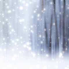 冬天季节摘要自然艺术打印圣诞节景观假期背景雪神奇的森林奢侈品品牌明信片设计背景
