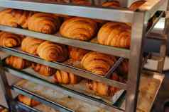 热羊角面包金属托盘新鲜的面包店家庭面包店