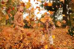 户外有趣的秋天孩子们玩秋天下降叶子公园快乐朋友
