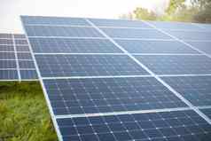 生态电能源农场太阳能面板替代能源