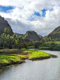 风景威米亚植物花园瓦胡岛夏威夷