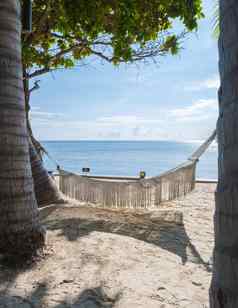 白色吊床棕榈树热带海滩泰国华欣