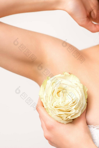 关闭女腋窝白色玫瑰花孤立的白色背景
