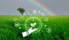 聪明的农业现代技术概念景观绿色大米农场场彩虹图标聪明的农业概念可持续发展的农业精度农业气候监控