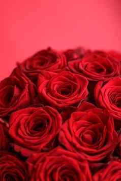 gourgeous奢侈品花束红色的玫瑰花布鲁姆花假期背景