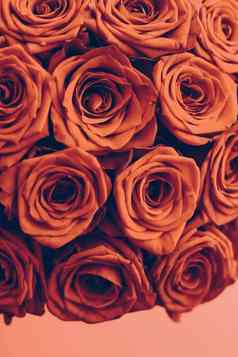 古董奢侈品花束橙色玫瑰花布鲁姆花假期背景