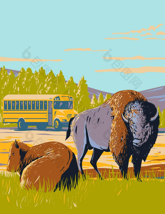 野生动物公共汽车之旅野牛草原黄石公园国家公园怀俄明水渍险海报艺术