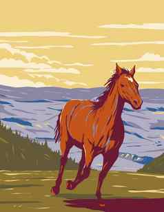 野马普赖尔山野生马范围碳大角县蒙大拿水渍险海报艺术