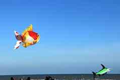 都有风筝浮动天空国际风筝节日
