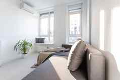 时尚的室内当代卧室舒适的家具床上毯子枕头镜子盆栽植物灰色的墙背景现代首页窗帘太阳耀斑
