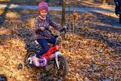 快乐孩子粉红色的自行车秋天公园明亮的色彩斑斓的树叶