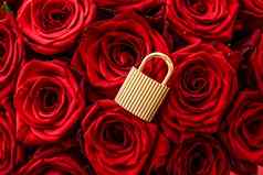 爱锁情人节一天卡金挂锁奢侈品花束玫瑰红色的背景
