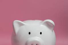 银行储蓄收入金融银行投资利润钱经济退休规划预算收入基金业务小猪白色粉红色的背景