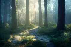 和平神奇的森林场景秋天较低的刘易斯瀑布吉福德pinchot国家森林