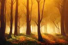神奇的秋天森林太阳射线晚上黄金阳光橙色树叶日落仙女森林秋天