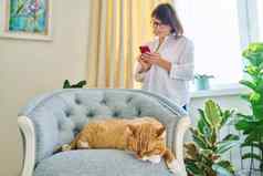 放松睡觉猫扶手椅女人智能手机散焦