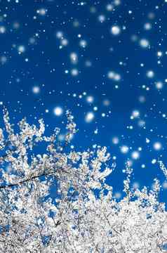 圣诞节年蓝色的花背景假期卡设计花树雪闪闪发光的冬天季节出售促销活动背景奢侈品美品牌