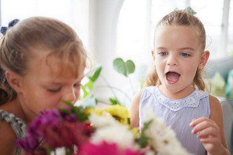 兴奋哇孩子们惊讶花花束惊喜生日<strong>母亲</strong>一天情人节一天女孩孩子们兄弟姐妹姐妹快乐好玩的春天花<strong>首页</strong>