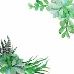 水彩花框架背景美丽的问候卡绿色叶子白色背景插图